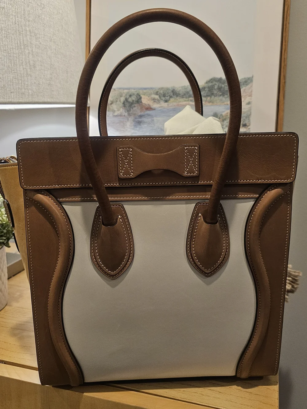 Celine Micro Luggage Tote Tricolor